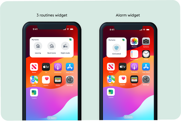 iOS widget