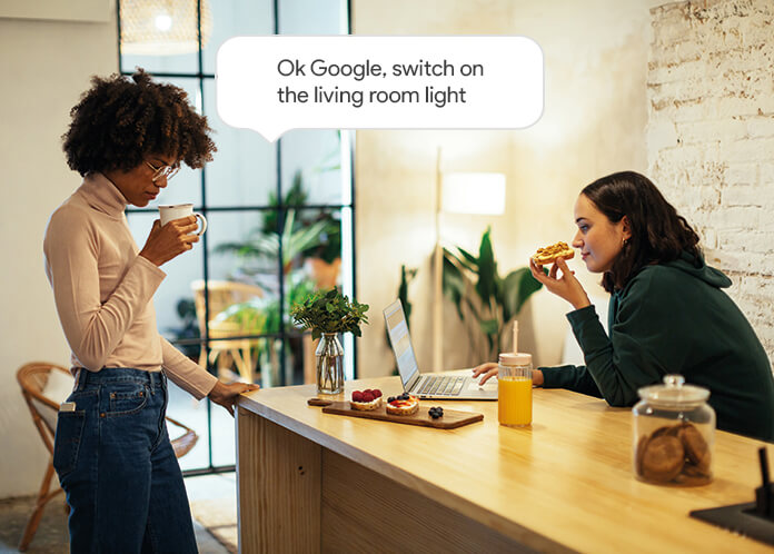 Use voice control to manage your  lighting Delta Dore equipments with Google Assistant.