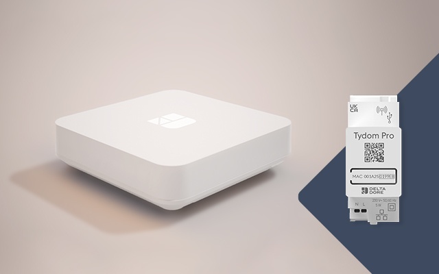 How to install the Delta Dore Tydom Home Smart Home hub? 
